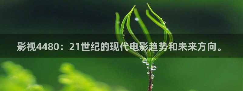 2019秋霞电影在线观看