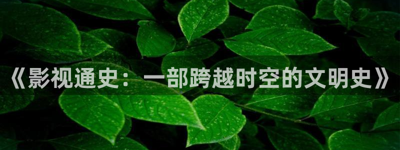 搜秋霞电影网