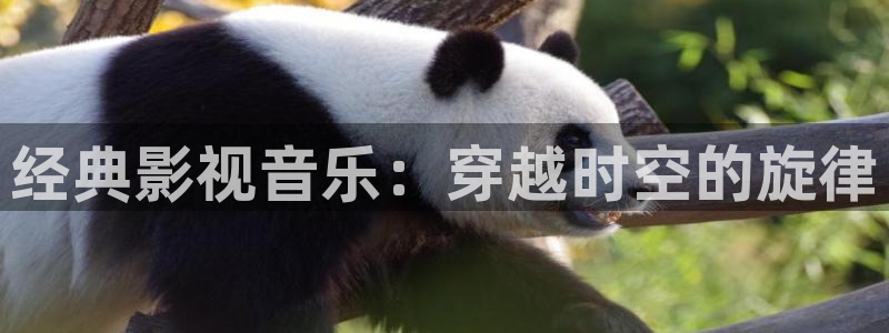 秋霞电影电视