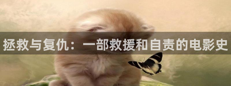 秋霞电影综合网