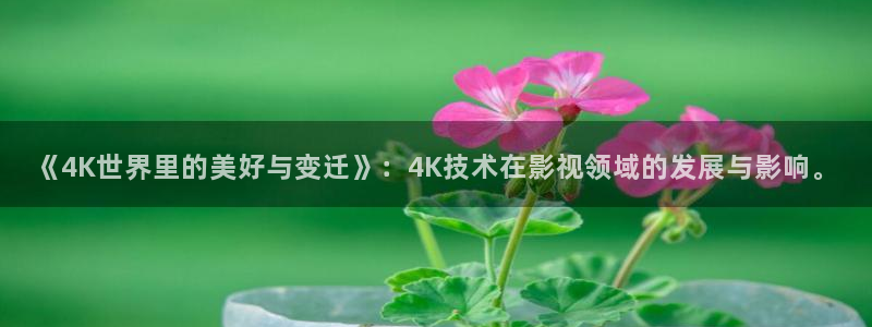 6080秋霞影视