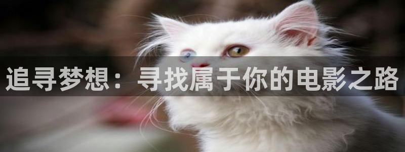 秋霞手机高清