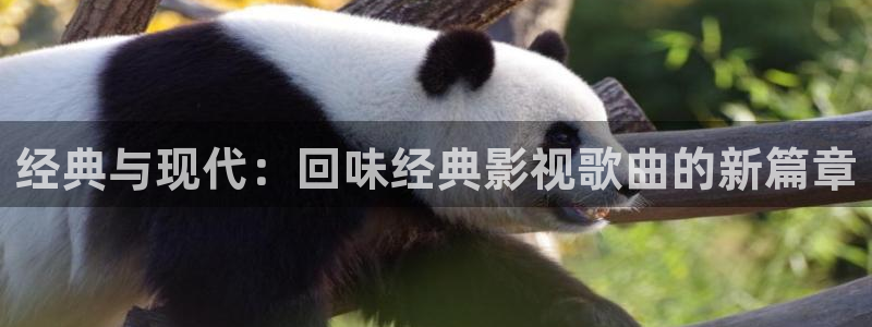秋霞一级伦理片