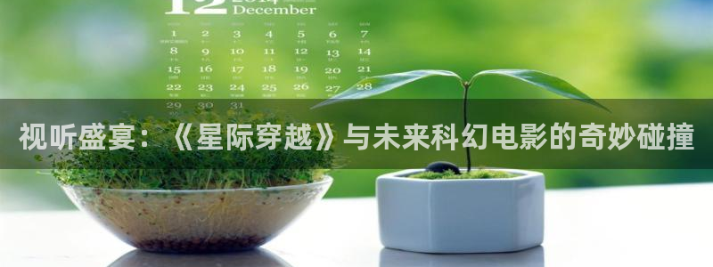 秋霞网在线观手看手机