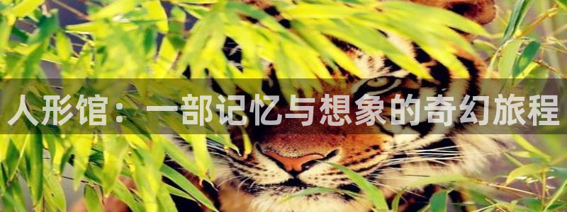秋霞秋霞午夜影院