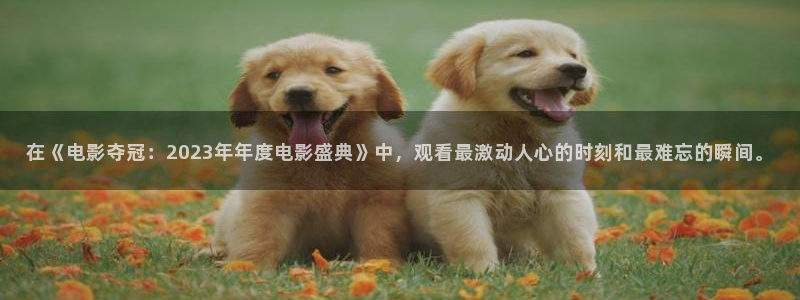 秋霞说电影