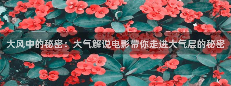 秋霞电影亚洲