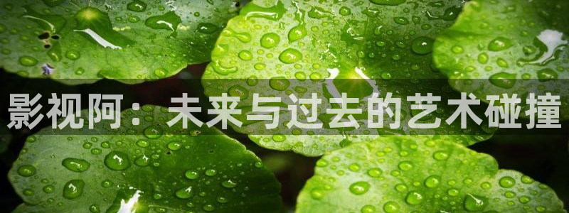 西瓜电影秋霞