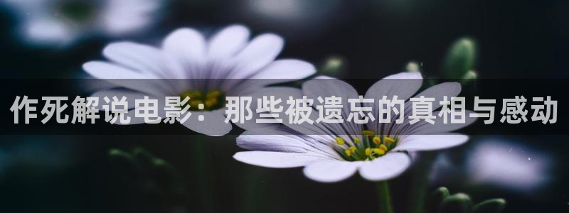 秋霞影院入口
