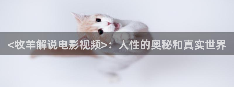 神马影院在线观看秋霞