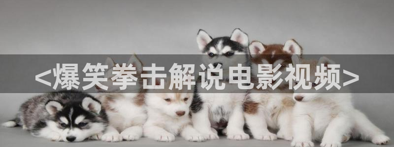 秋霞伦理免费电影网观看