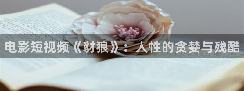 eccuss秋霞电影