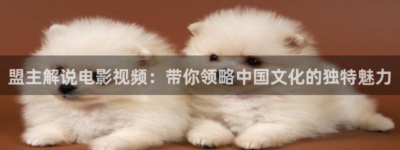 x秋霞电影