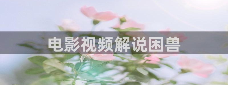 秋霞电影网理论