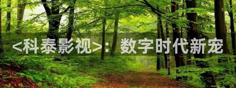 秋霞影院伦网