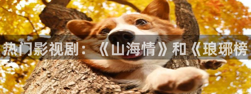 yy6080秋霞电影