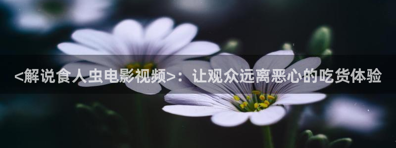 秋霞在线观