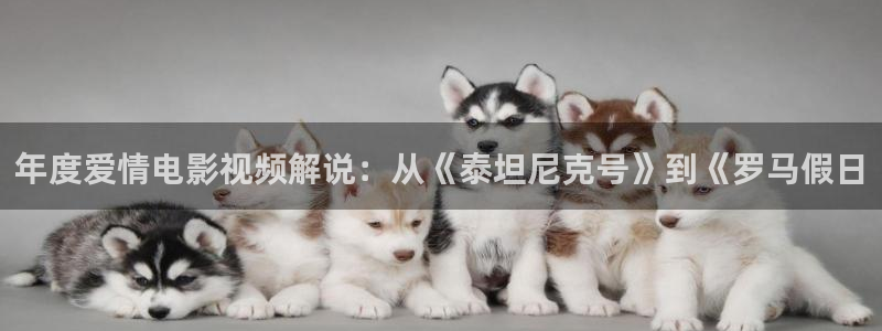 秋霞一级免费电影