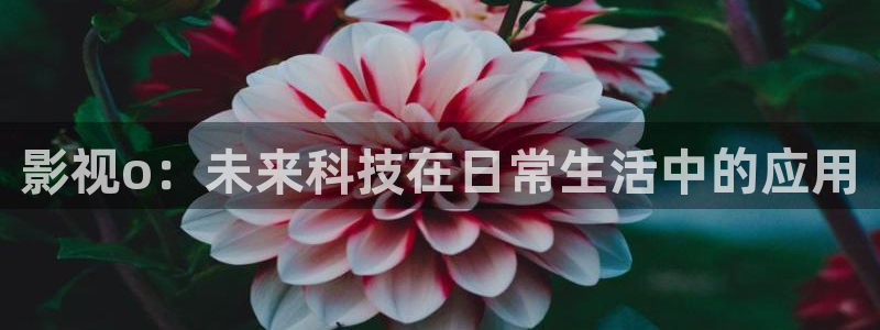 秋霞影视福利
