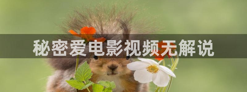 秋霞色惰网