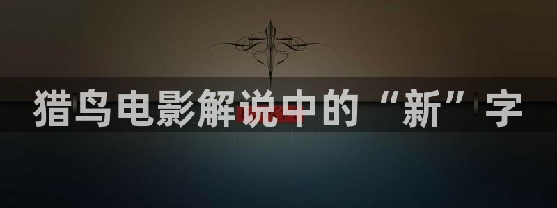 秋霞毛毛片