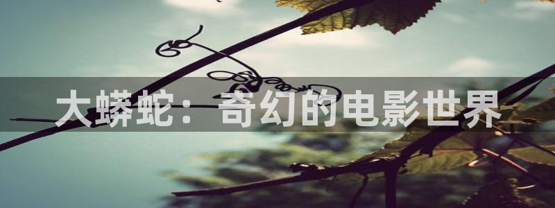 秋霞日韩电影网