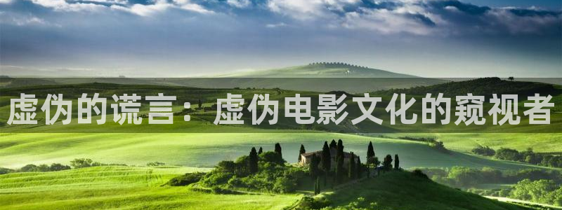 秋霞网黄色三极片