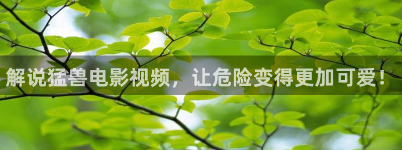 黄色片秋霞