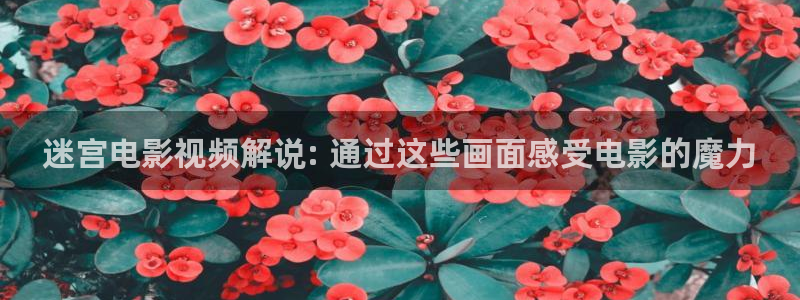 秋霞新网站