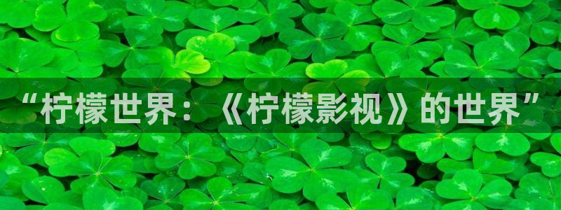 秋霞在线高清电影