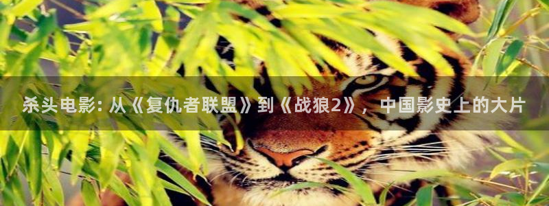 秋霞午夜限制电影在线