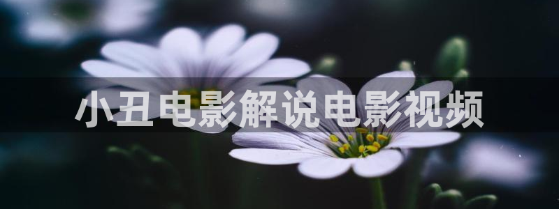 秋霞免费电影在线观看