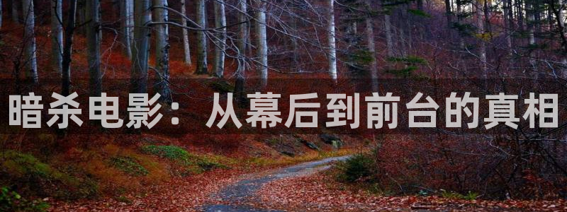 秋霞电影网不卡影院