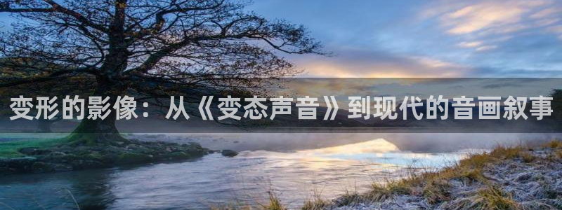 秋霞网伦理免费