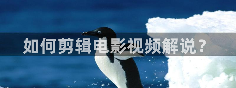 秋霞影音在线