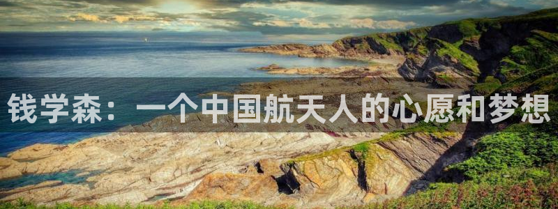 秋霞电影网站在线观看