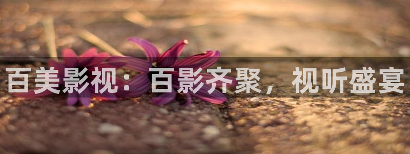 秋霞在线观电影官网