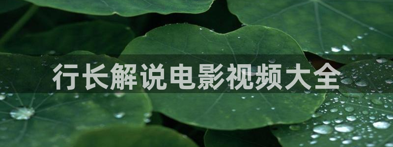 神马电影院在线观看秋霞