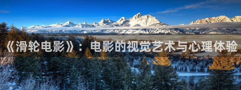 秋霞影院2024