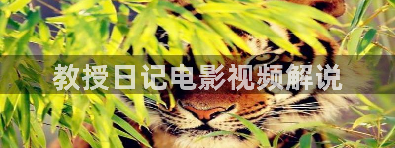 秋霞一级电影网